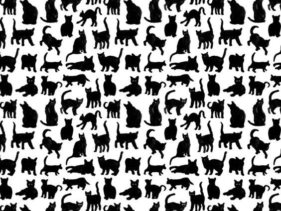 cats pattern naomi smith